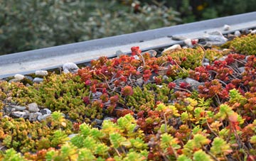 the cost of Nether Chanderhill green roof installation