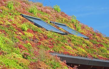 Nether Chanderhill living roof systems