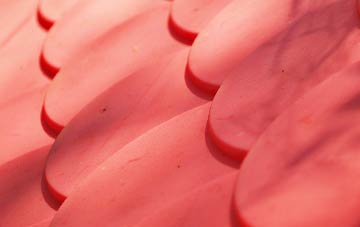 Nether Chanderhill plastic roof costs