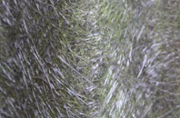 Nether Chanderhill fibreglass roof work